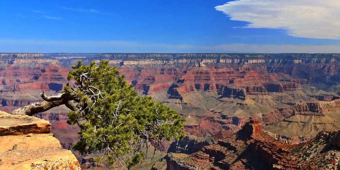 Grand Canyon in Arizona