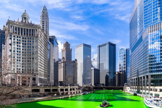 Chicago Skylines building along green dyeing river of Chicago River on St. Patrick's day festival in Chicago Downtown IL USA