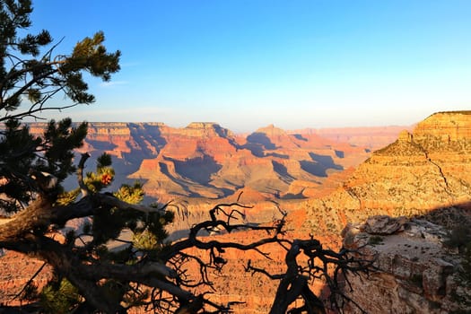 Grand Canyon in Arizona