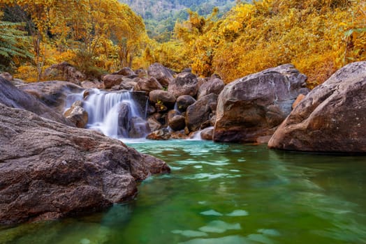 River stone and tree colorful, View water river tree, Stone river in multi color tree leaf in forest