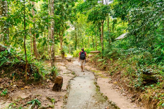 Man walking in forest with sunlight nature background