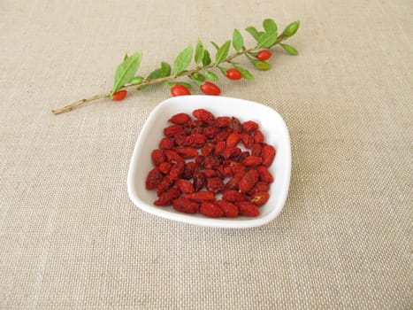 Dried goji berries, wolfberry