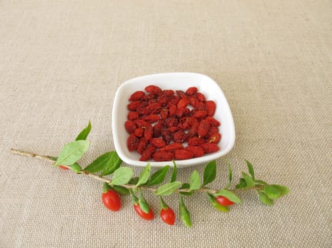 Dried goji berries, wolfberry