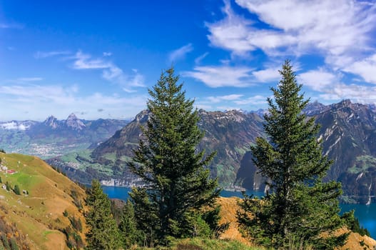 View from Niederbauen to Urnersee