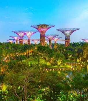 SINGAPORE - JANUARY 15, 2017: Famous Botanical Gardens by the Bay illuminated in the evening, aerial view
