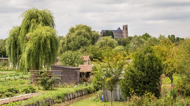 Saint-Etienne Cathedral from the marshes, Bourges, Centre-Val de Loire, France