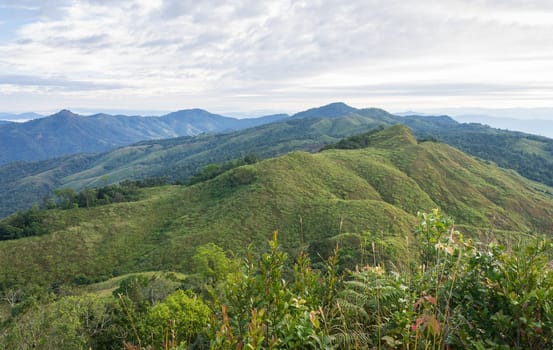 Phu Langka Mountain National Park View Point with Tree Foreground. Phu Langka Mountain National Park View Point with sky cloud. Northern Thailand travel