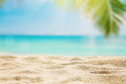 Sunny tropical beach with palm trees