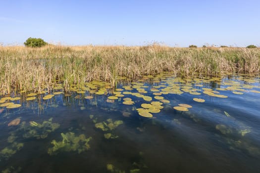 landscape in the Danube Delta, Romania, Europe
