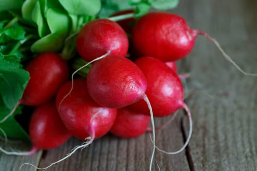 bunch of radishes on wooden background. fresh spring vegetables for salad