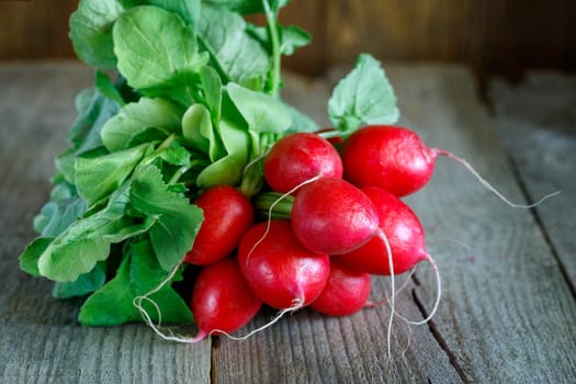 bunch of radishes on wooden background. fresh spring vegetables for salad