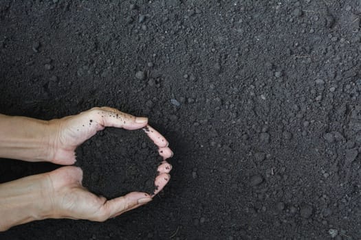 Male holding soil in the hands for planting concept.