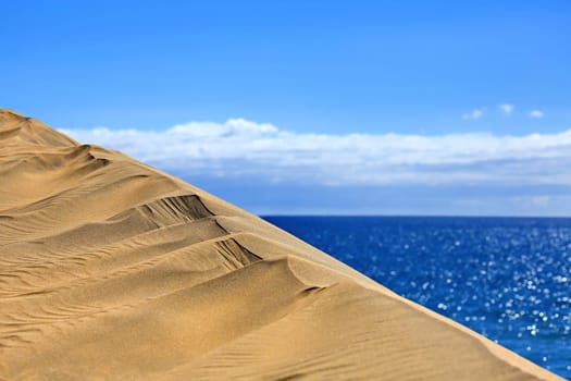 Maspalomas the sand dunes on Gran Canaria