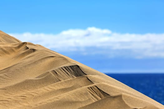 Maspalomas the sand dunes on Gran Canaria