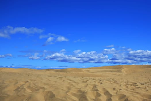 Maspalomas the sand dunes on Gran Canaria