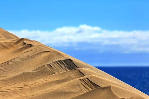 Maspalomas the sand dunes on Gran Canaria