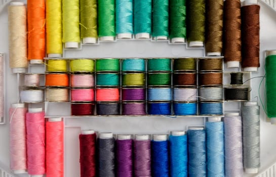 a lot of colorful yarn in organizer box