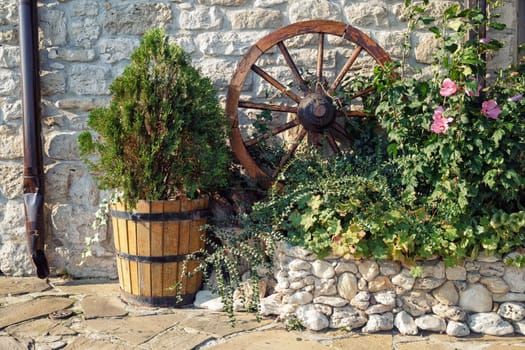 Still life outdoors with a cartwheel and a wooden tub with a thuja.