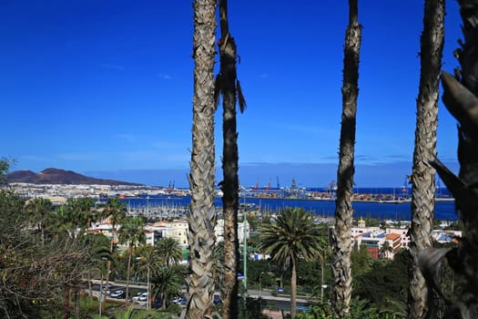 Las Palmas views of the city