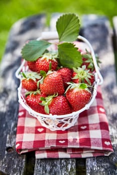 Small white basket filled with ripe red home grown strawberries on a folded, napkin outdoors on a rustic wooden table in the garden