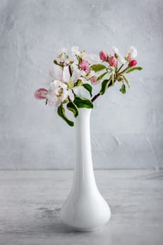 Apple blossom in a vase on a light background
