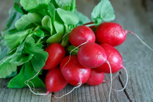 bunch of radishes on wooden background. fresh spring vegetables for salad