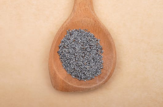 Poppy seeds on wooden spoon and brown background