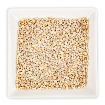 Pearl Barley in a bowl isolated on white background