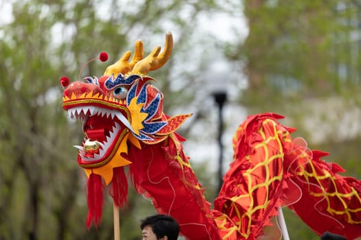 Wilmington, North Carolina, USA - April 6, 2019: The North Carolina.Azalea Festival, Chinese dragon being carried down 3rd street during the parade