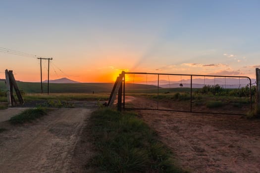 Farmlands gate animal crossing sunset summers day mountain landscape
