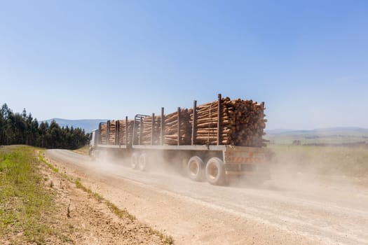 Forest trees cut stacked logs along dirt road rural mountains