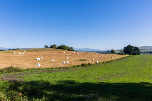 Farming cattle feed harvested grass hay bales wrapped in plastic over fields on scenic mountain landscape