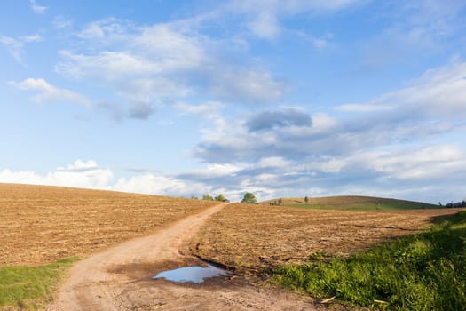 Agriculture field harvested crops dirt road over farming landscape