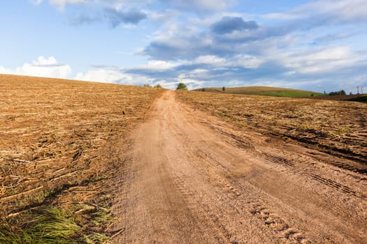 Agriculture field harvested crops dirt road over farming landscape