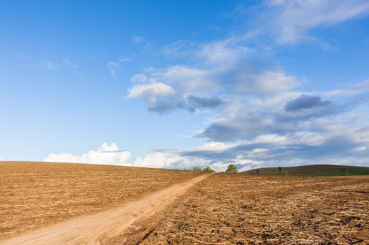 Agriculture field harvested crops dirt road over farming landscape