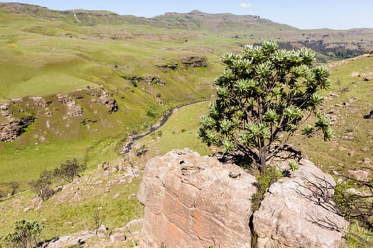 Mountains valley river rocky cliffs rural countryside scenic summer landscape.