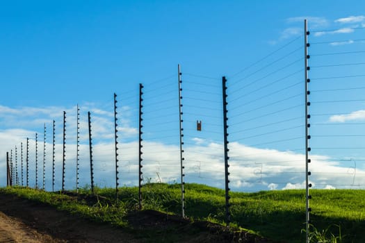 Electrified fence boundary security countryside outdoors property.
