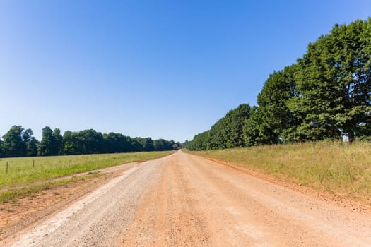 Dirt road route through trees scenic rural mountain terrain middle photo to horizon