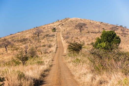 Dirt road up steep route in wilderness wildlife terrain hill climb landscape