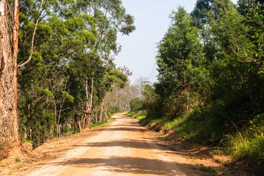 Dirt road route through trees scenic rural mountain terrain middle photo to horizon