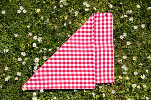 Picnic background. Red checkered picnic cloth on a daisy meadow. Topview.