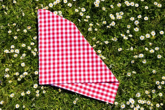 Picnic background. Red checkered picnic cloth on a daisy meadow. Topview.