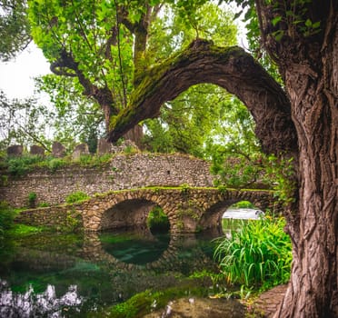 fantasy river bridge tree trunk branch .