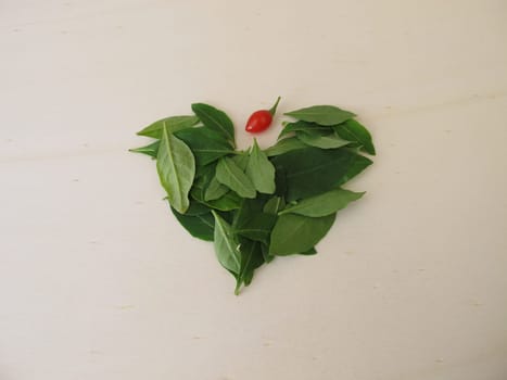Fresh goji leaves on a wooden board
