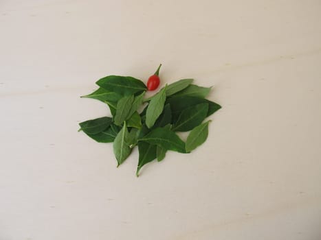 Fresh goji leaves on a wooden board