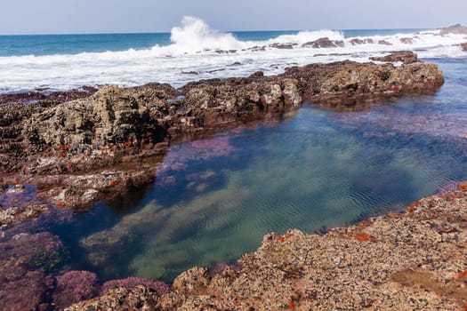 Beach Rocky ocean coastline tidal water pools closeup nature landscape..