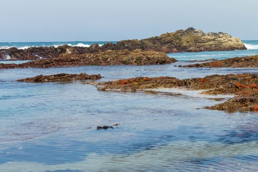Beach Rocky ocean coastline tidal water pools closeup nature landscape..