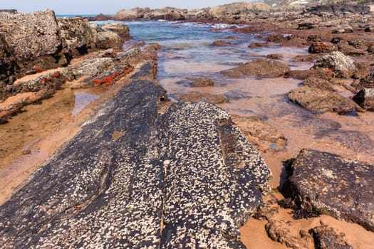 Beach Rocky ocean coastline tidal water pools closeup nature landscape..