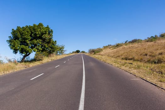 Standing middle of steep uphill road route with blue sky.