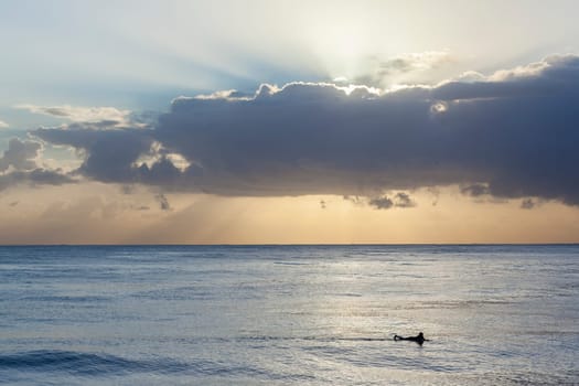 Surfer in ocean silhouetted waiting for waves early morning sunrise surfing session.